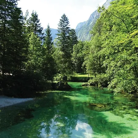 Апартаменты Stunning In Bohinjska Bistrica With 2 Bedrooms And Wifi